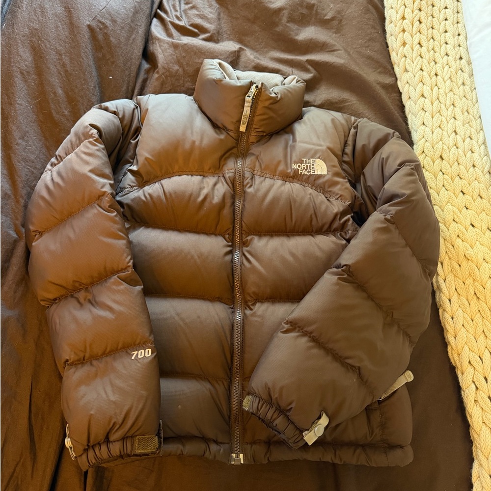 The North Face Brown Nuptse 700 Puffer Jacket
